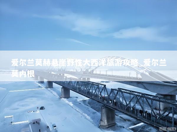 爱尔兰莫赫悬崖野性大西洋旅游攻略_爱尔兰莫内根