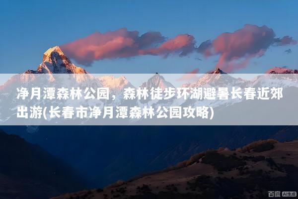净月潭森林公园，森林徒步环湖避暑长春近郊出游(长春市净月潭森林公园攻略)