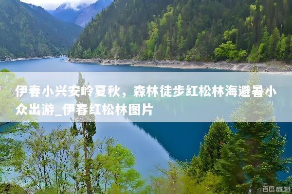 伊春小兴安岭夏秋，森林徒步红松林海避暑小众出游_伊春红松林图片