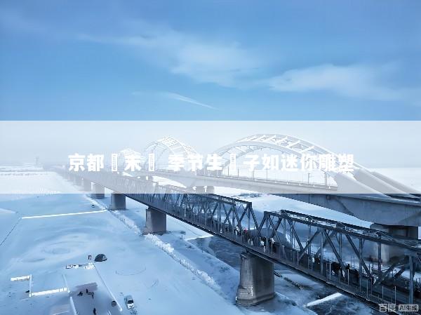京都亀末廣 季节生菓子如迷你雕塑