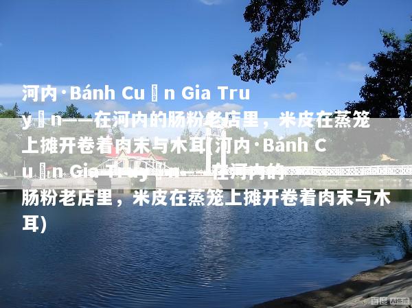 河内·Bánh Cuốn Gia Truyền——在河内的肠粉老店里，米皮在蒸笼上摊开卷着肉末与木耳(河内·Bánh Cuốn Gia Truyền——在河内的肠粉老店里，米皮在蒸笼上摊开卷着肉末与木耳)