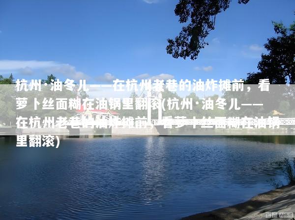 杭州·油冬儿——在杭州老巷的油炸摊前，看萝卜丝面糊在油锅里翻滚(杭州·油冬儿——在杭州老巷的油炸摊前，看萝卜丝面糊在油锅里翻滚)