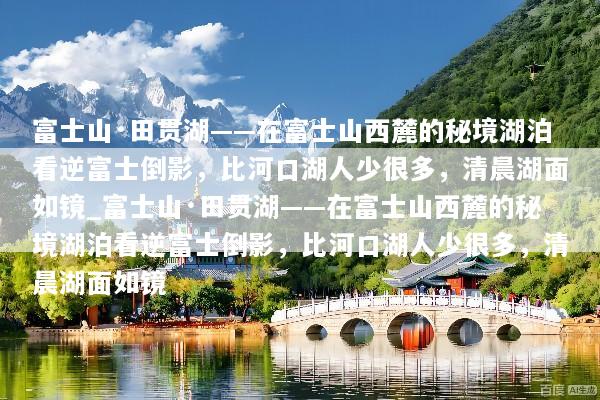 文章配图