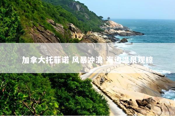 加拿大托菲诺 风暴冲浪 海边温泉观鲸