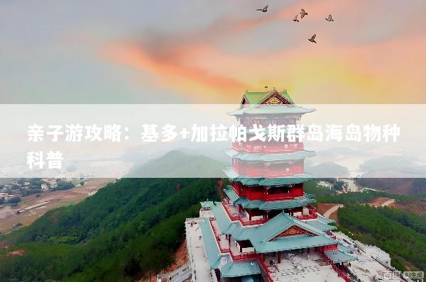 亲子游攻略：基多+加拉帕戈斯群岛海岛物种科普