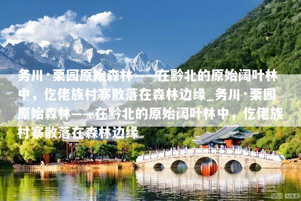 务川·栗园原始森林——在黔北的原始阔叶林中，仡佬族村寨散落在森林边缘_务川·栗园原始森林——在黔北的原始阔叶林中，仡佬族村寨散落在森林边缘