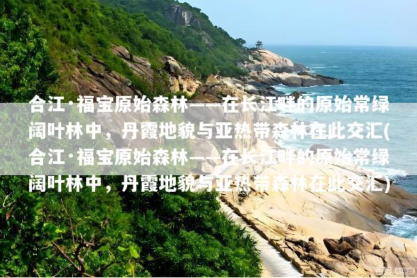 合江·福宝原始森林——在长江畔的原始常绿阔叶林中，丹霞地貌与亚热带森林在此交汇(合江·福宝原始森林——在长江畔的原始常绿阔叶林中，丹霞地貌与亚热带森林在此交汇)