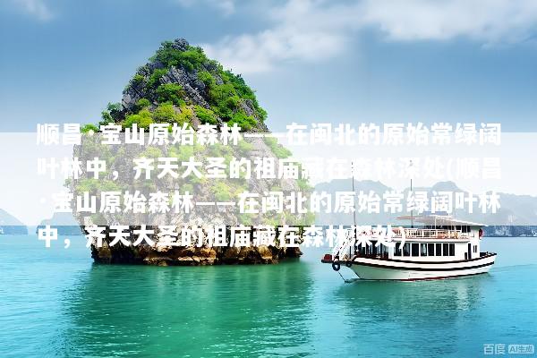顺昌·宝山原始森林——在闽北的原始常绿阔叶林中，齐天大圣的祖庙藏在森林深处(顺昌·宝山原始森林——在闽北的原始常绿阔叶林中，齐天大圣的祖庙藏在森林深处)