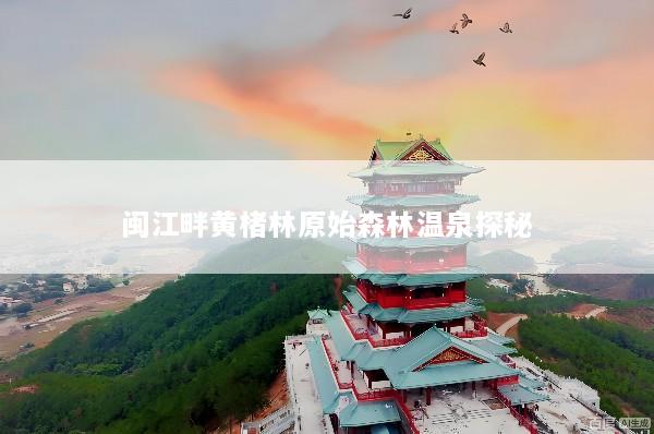 闽江畔黄楮林原始森林温泉探秘