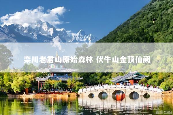 栾川老君山原始森林 伏牛山金顶仙阙