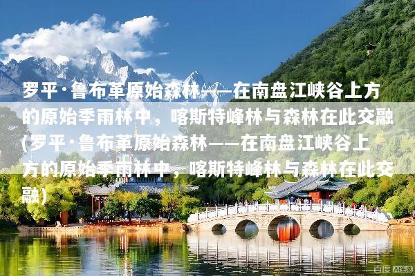 罗平·鲁布革原始森林——在南盘江峡谷上方的原始季雨林中，喀斯特峰林与森林在此交融(罗平·鲁布革原始森林——在南盘江峡谷上方的原始季雨林中，喀斯特峰林与森林在此交融)