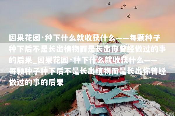 因果花园·种下什么就收获什么——每颗种子种下后不是长出植物而是长出你曾经做过的事的后果_因果花园·种下什么就收获什么——每颗种子种下后不是长出植物而是长出你曾经做过的事的后果